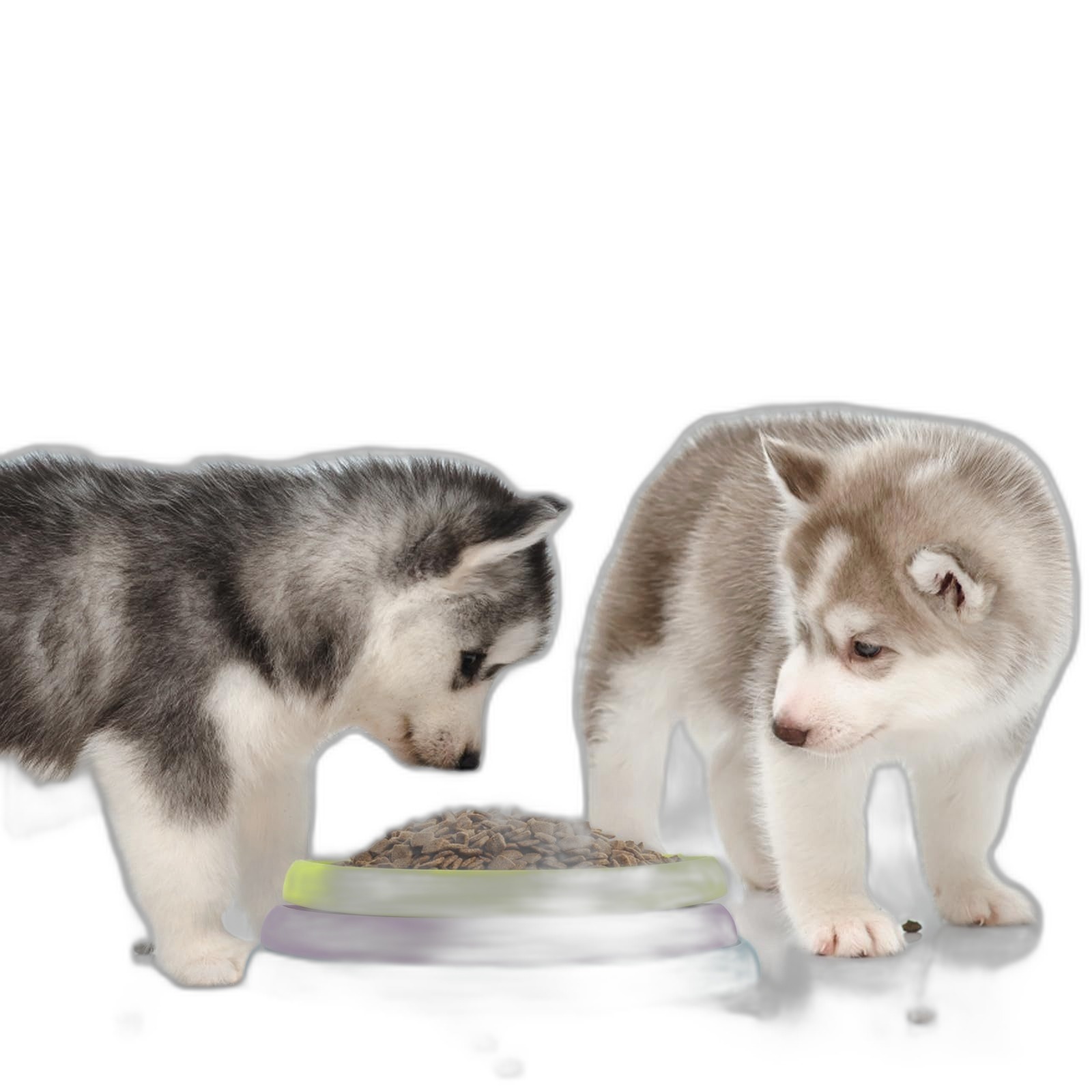 3-in-1 Slow Feeder & Lick Mat Bowl - Image 3