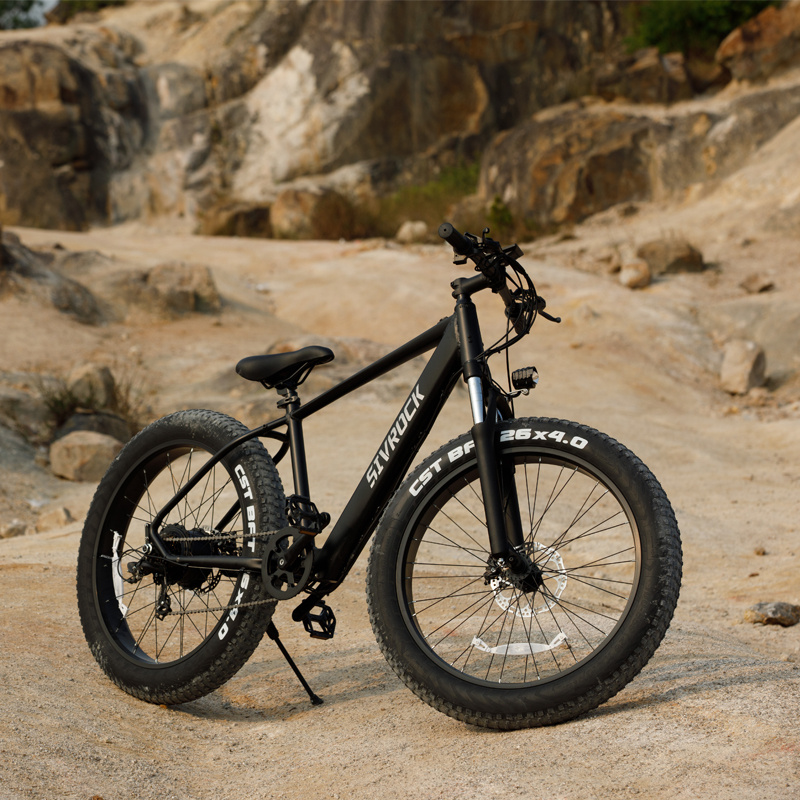 1000W Electric Mountain Bike — 26" Fat Tire E-Bike, 48V 15Ah Battery - Image 10
