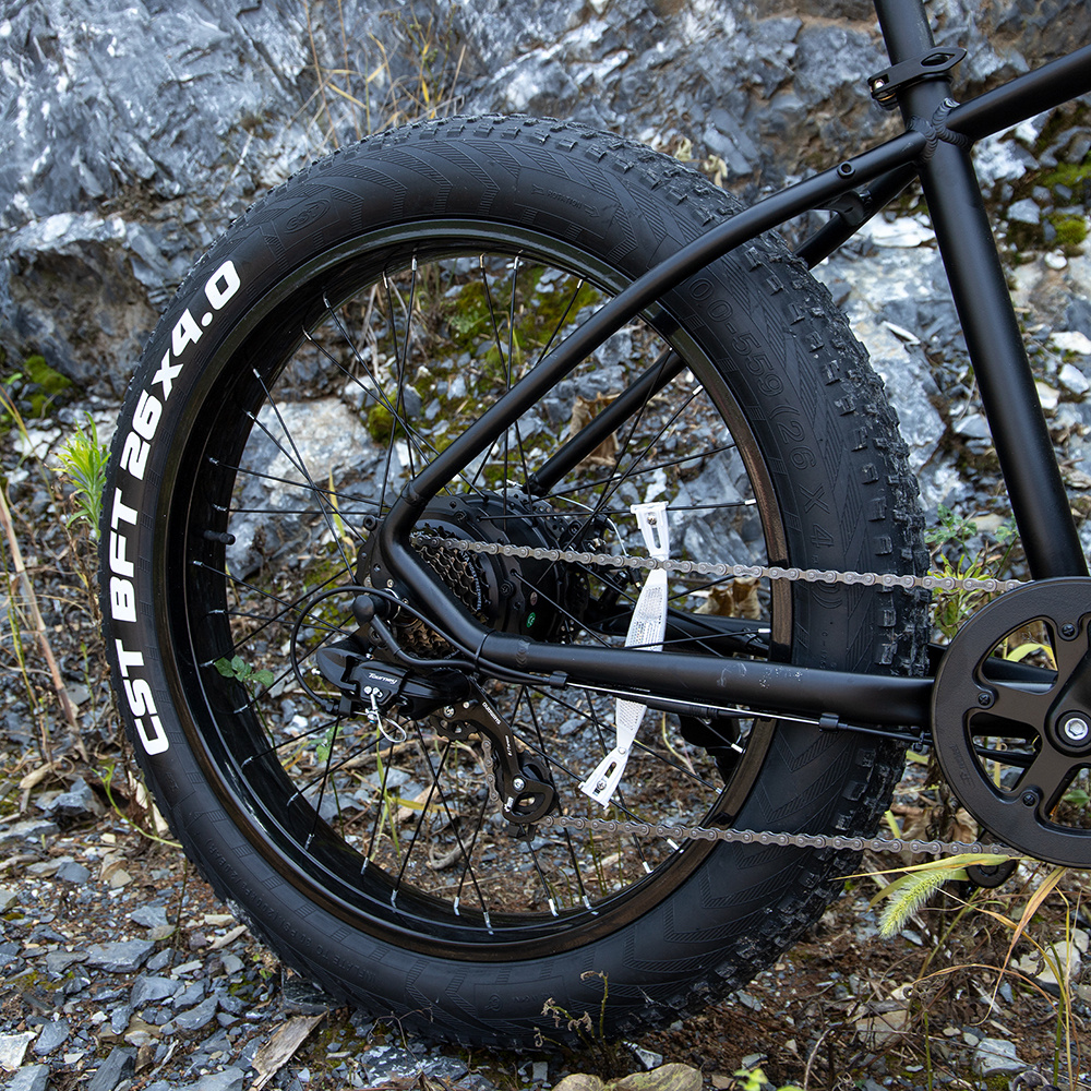 1000W Electric Mountain Bike — 26" Fat Tire E-Bike, 48V 15Ah Battery - Image 4