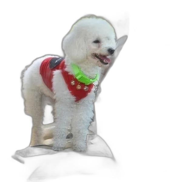 Dog Seat Belt (2-Pack) — Adjustable Pet Car Safety Restraint - Image 6