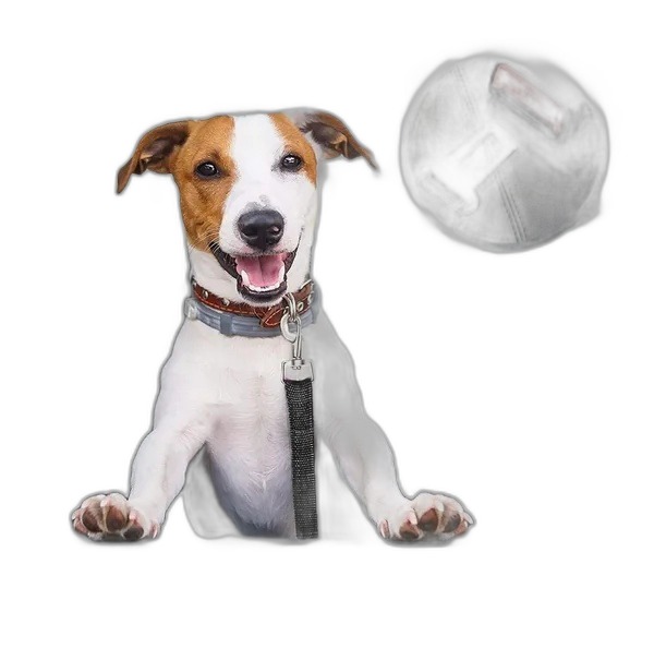 Dog Seat Belt (2-Pack) — Adjustable Pet Car Safety Restraint - Image 2