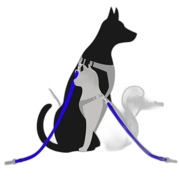Dog Seat Belt (2-Pack) — Adjustable Pet Car Safety Restraint - Image 9